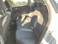 Volkswagen Polo Life 1.0 TSI / Navi, AppConnect, LED, PDC Grau - thumbnail 15
