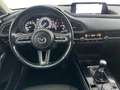 Mazda CX-30 2.0L e-Skyactiv-G 150 CV M Hybrid 2WD Executive Grigio - thumbnail 13