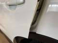Nissan Qashqai 1.2 dig-t Visia 115cv Bianco - thumbnail 25