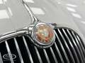 Jaguar XK - ONLINE AUCTION Grau - thumbnail 10