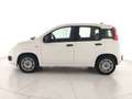 Fiat New Panda Panda 1.2 Easy s&s 69cv Bianco - thumbnail 2
