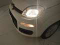 Fiat New Panda Panda 1.2 Easy s&s 69cv Bianco - thumbnail 6