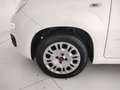 Fiat New Panda Panda 1.2 Easy s&s 69cv Bianco - thumbnail 5