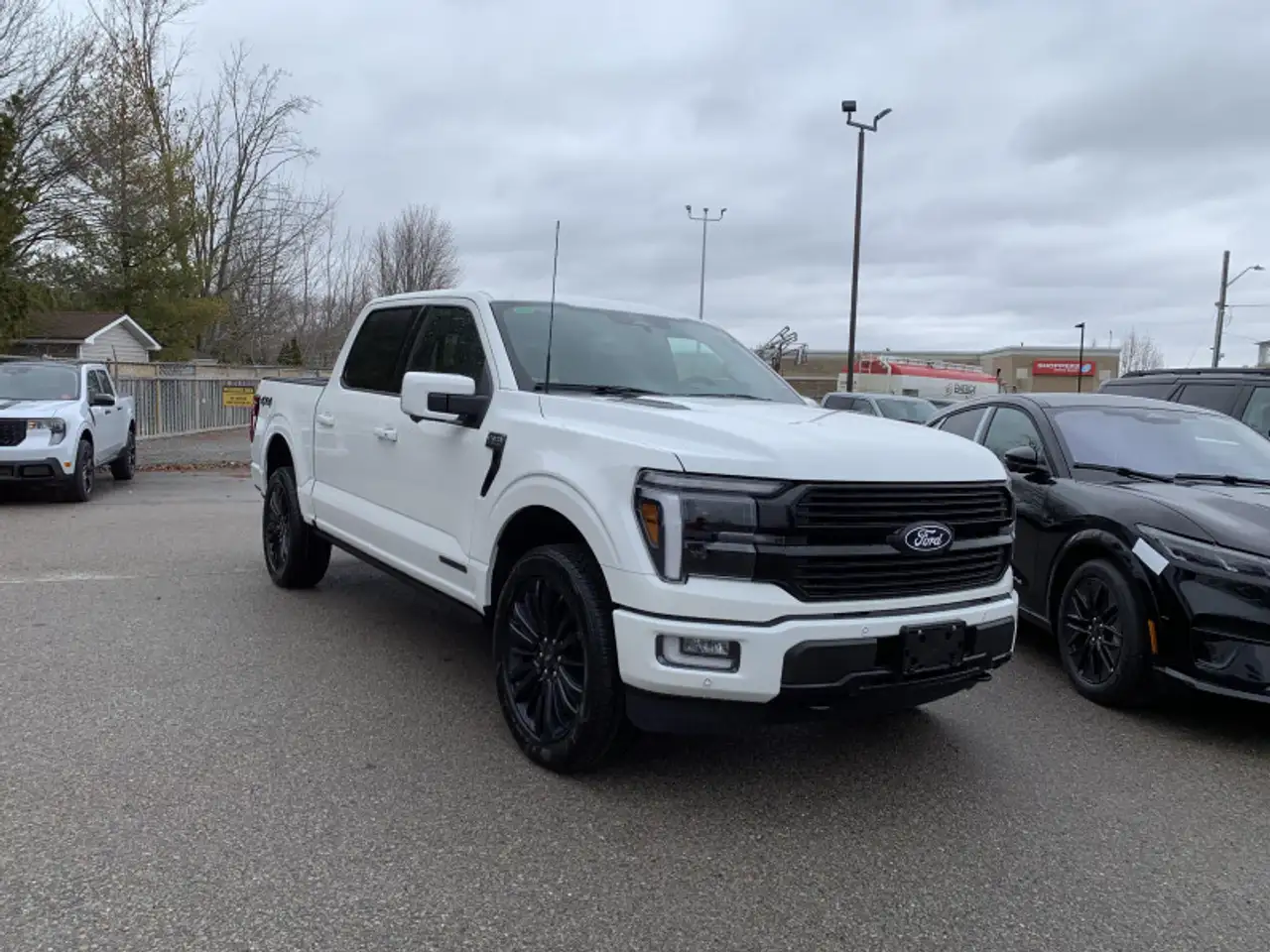 Ford F 150 снимка Ford F 150