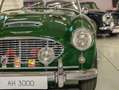 Austin-Healey 3000 Austin Healey 3000 MKI Vert - thumbnail 25