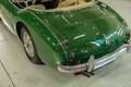 Austin-Healey 3000 Austin Healey 3000 MKI Groen - thumbnail 39