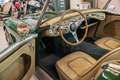 Austin-Healey 3000 Austin Healey 3000 MKI Vert - thumbnail 12