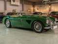 Austin-Healey 3000 Austin Healey 3000 MKI Vert - thumbnail 2
