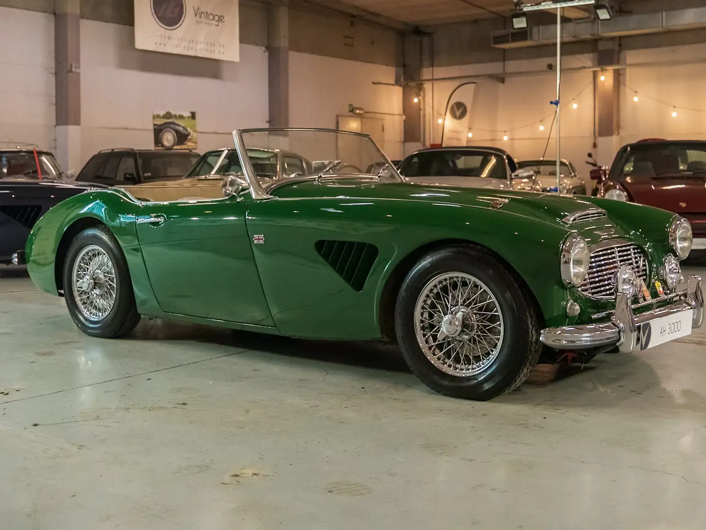 Austin-Healey 3000 Austin Healey 3000 MKI Groen - 2