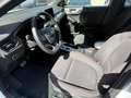 Ford Focus 1.5 ecoblue ST-Line Co-pilot s&s 120 CV Blanc - thumbnail 6