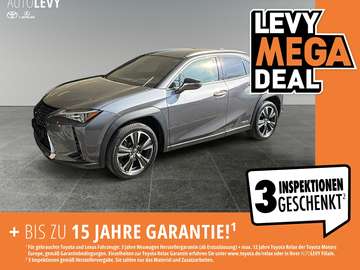 Executive Line +Kamera+CarPlay+SHZ+