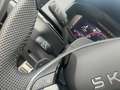 Skoda Karoq 2.0 TDI Sportline DSG 4x4 Matrix Nav AHK Pano Grau - thumbnail 13