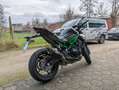 Kawasaki Z 900 Performance Gar.2029 Vert - thumbnail 5