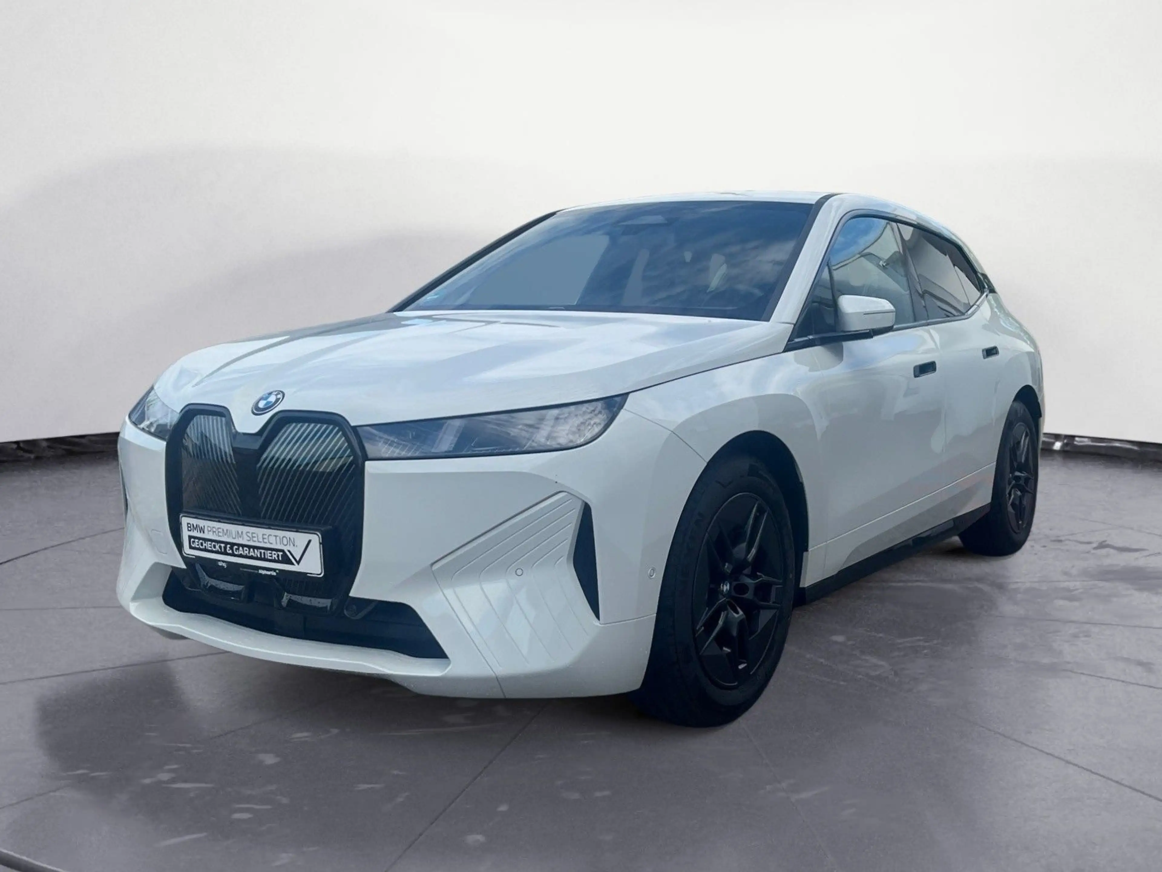 BMW iX xDrive45 Navi Tempom.aktiv Bluetooth PDC MP3 — photo 2