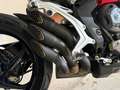 MV Agusta Brutale 800 EAS EBS Bianco - thumbnail 6