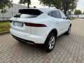 Jaguar E-Pace 2.0D 163 CV AWD aut. Sport Gris - thumbnail 3