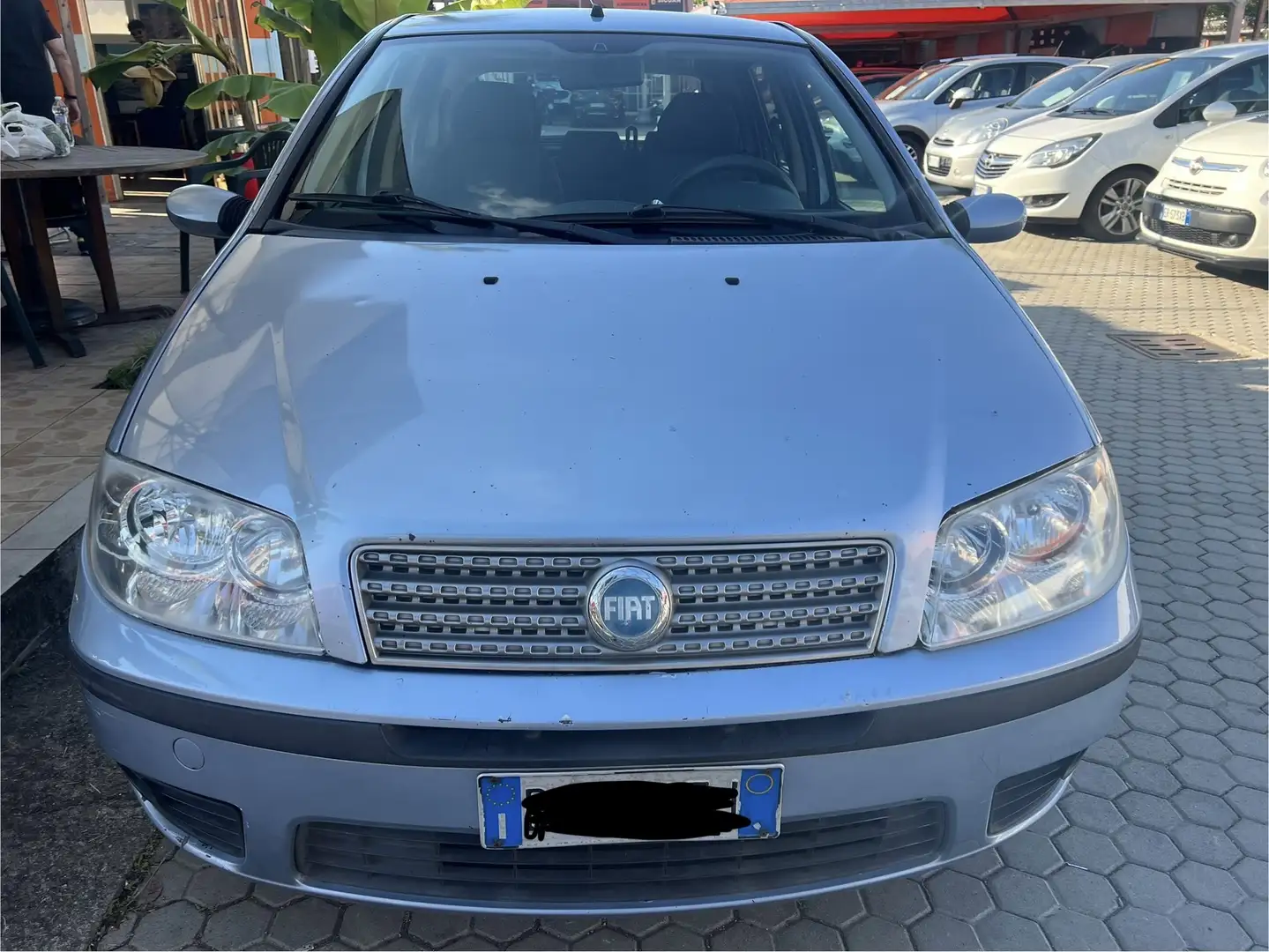 Fiat Punto Punto 5p 1.2 Dynamic Blau - 2
