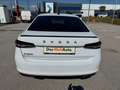 Skoda Superb Sportline TSI mHEV DSG Weiß - thumbnail 6