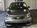 smart forFour Forfour 0.9 t Prime 90cv twinamic my19 Gris - thumbnail 1