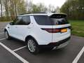 Land Rover Discovery 3.0 TD6 HSE Luxury 7pl. Blanc - thumbnail 5