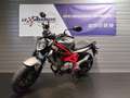 Suzuki Gladius 650 - thumbnail 3