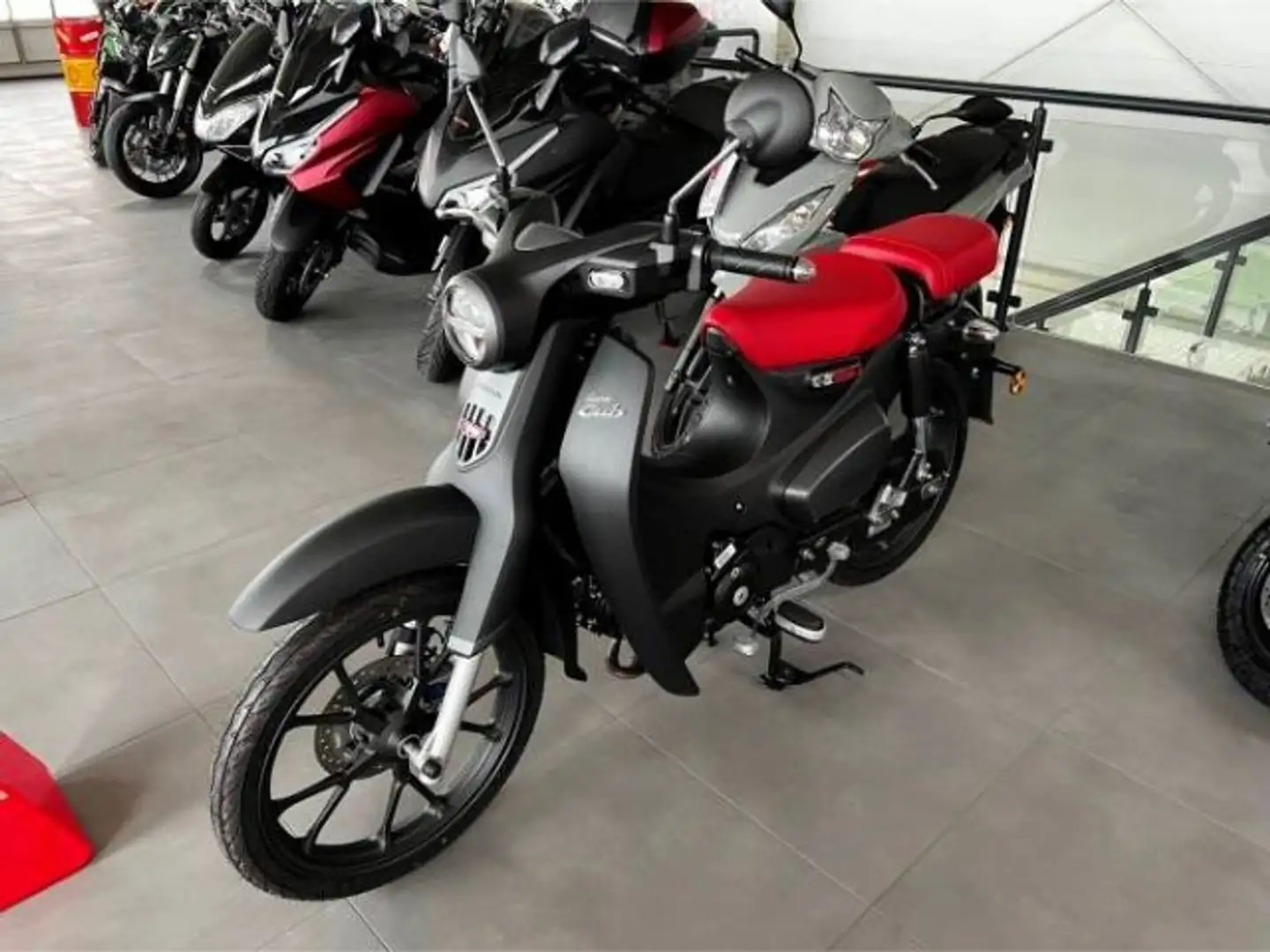 Honda Super Cub 125 sofort verfügbar ! Gris - 2