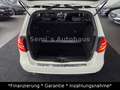 Mercedes-Benz B 180 CDI|Sportpaket|Xenon|Navi| Weiß - thumbnail 18