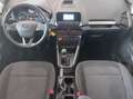 Ford EcoSport TREND Ecosport 1.0 EcoBoost 100CV FWD Blanc - thumbnail 7