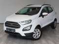 Ford EcoSport TREND Ecosport 1.0 EcoBoost 100CV FWD Blanc - thumbnail 1