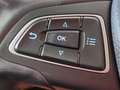 Ford EcoSport TREND Ecosport 1.0 EcoBoost 100CV FWD Blanc - thumbnail 10