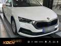 Skoda Octavia Combi Ambition 2.0 TDI NAVI*AHK*LED* Wit - thumbnail 1