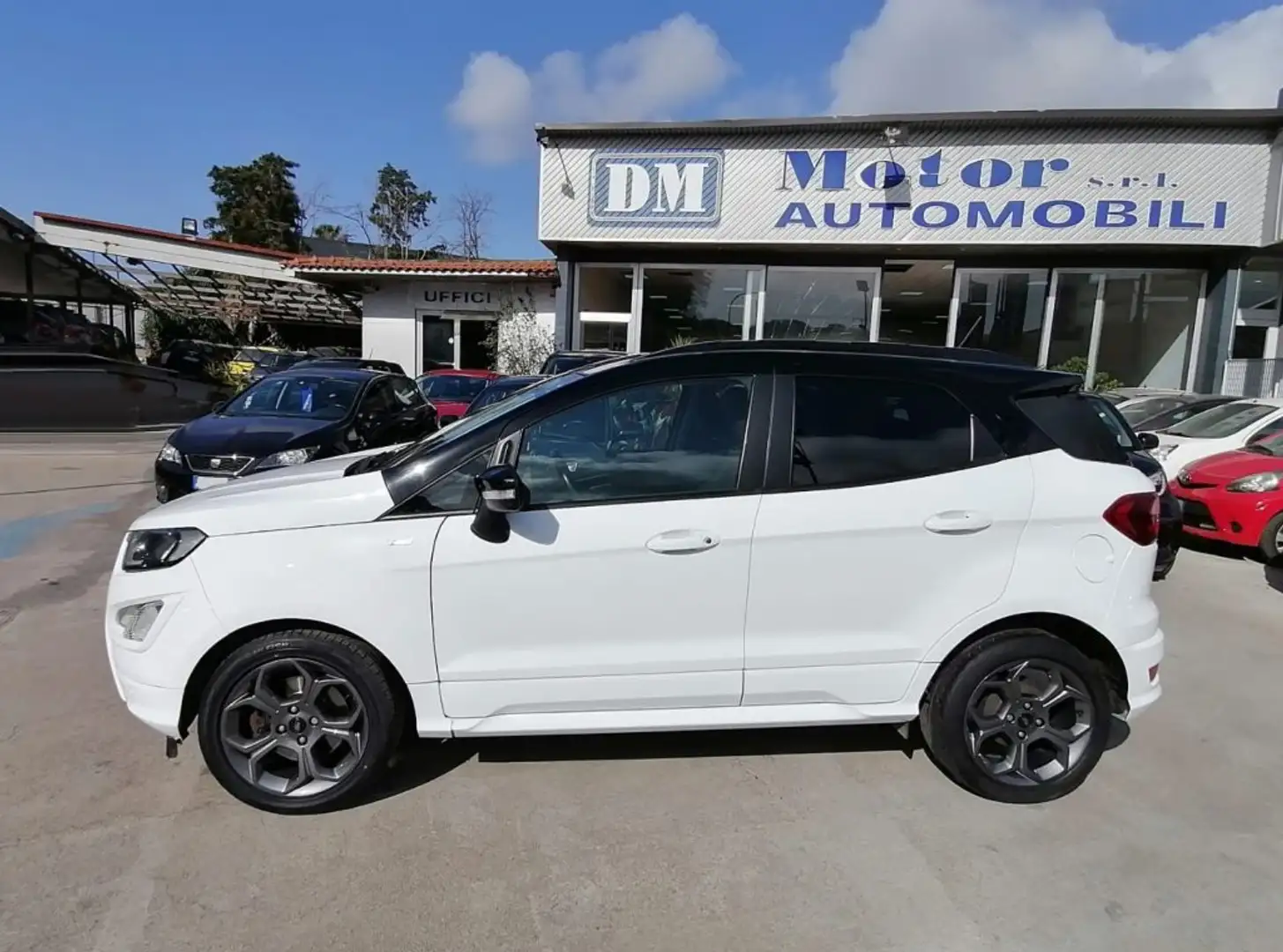 Ford EcoSport 1.5 ECOBLUE 101cv START&STOP ST-LINE Bílá - 2