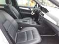Mercedes-Benz C 180 180 CDI SPORTLINE Plateado - thumbnail 6
