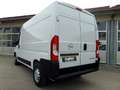 Opel Movano Movano C Kasten HKa L2H2 3,5t Edition Blanc - thumbnail 3