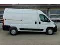 Opel Movano Movano C Kasten HKa L2H2 3,5t Edition Blanc - thumbnail 2