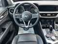 Alfa Romeo Stelvio Stelvio 2.2 Turbodiesel 210 CV AT8 Q4 Super Gris - thumbnail 10