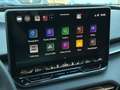 CUPRA Terramar VZ 2.0 TSI DSG 4D AHK/PANO/HD-MATRIX Grau - thumbnail 17