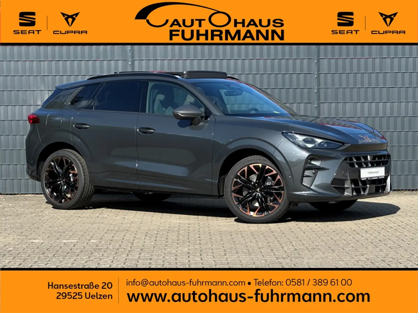 CUPRA Terramar VZ 2.0 TSI DSG 4D AHK/PANO/HD-MATRIX Grau - 1