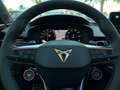 CUPRA Terramar VZ 2.0 TSI DSG 4D AHK/PANO/HD-MATRIX Grau - thumbnail 13