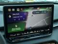 CUPRA Terramar VZ 2.0 TSI DSG 4D AHK/PANO/HD-MATRIX Grau - thumbnail 15