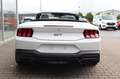 Ford Mustang GT Convertible MagneRide 4,99% FIN* Bílá - thumbnail 8