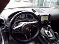 Porsche Cayenne 3.0 S E-Hybrid CAMERA-TREKHAAK-NL AUTO-NAP-BOVAG Gris - thumbnail 30