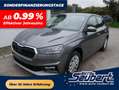 Skoda Fabia Selection 1.0 TSI *PDC-HI*LED*SHZ*NAVI-ÜBER-SMARTL Grau - thumbnail 1