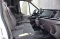 Ford Transit Kasten 350 L2/H2 Klima/AHK/RFK/Display Weiß - thumbnail 15