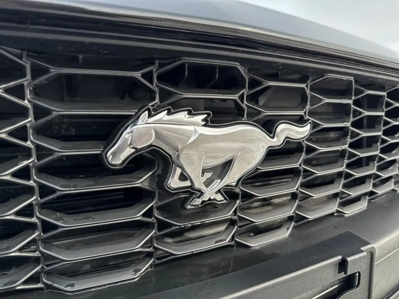 Ford Mustang снимка Ford Mustang
