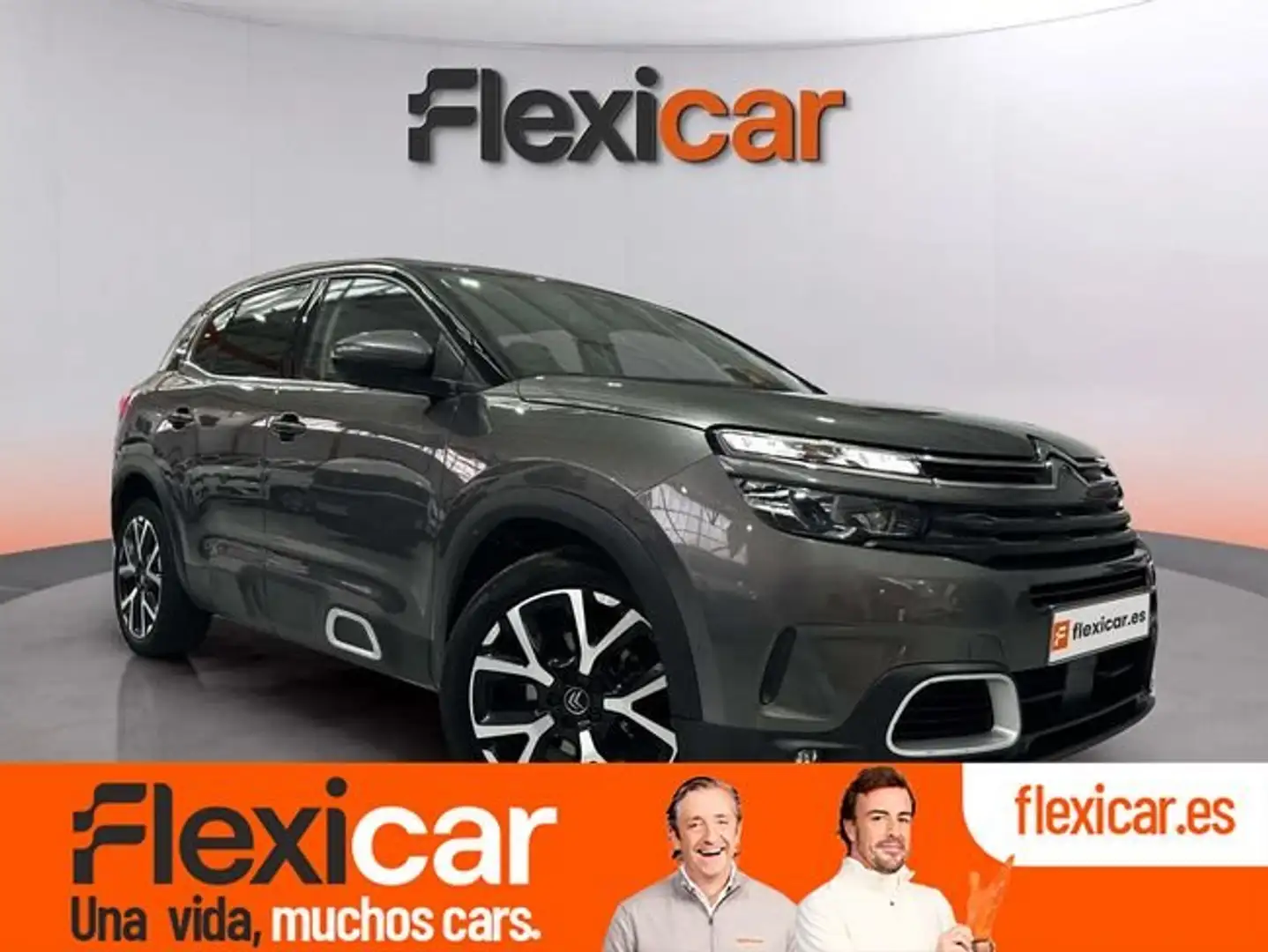 Citroen C5 Aircross BlueHdi 96kW (130CV) S&S Shine Gris - 1