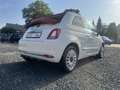 Fiat 500C 1.HD 47TKM AC-AUTO RIESENAUSWAHL AN FIAT500 Weiß - thumbnail 8