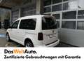 Volkswagen Caddy Comfortline TDI 4MOTION Weiß - thumbnail 3