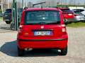 Fiat Panda Panda 1.2 Dynamic  69cv E5 Rouge - thumbnail 5