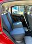 Fiat Panda Panda 1.2 Dynamic  69cv E5 Rouge - thumbnail 10
